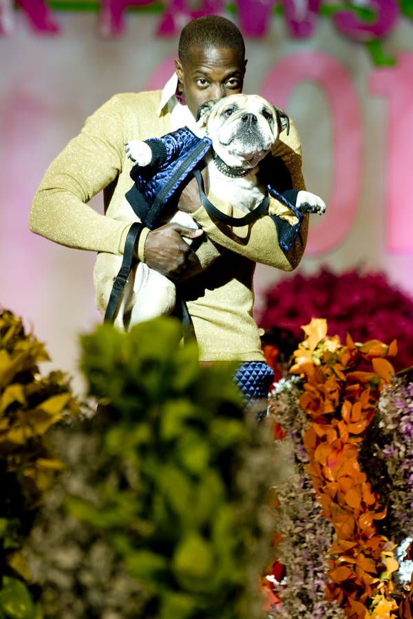 FASHION FOR PAWS 2012 (BLOG)