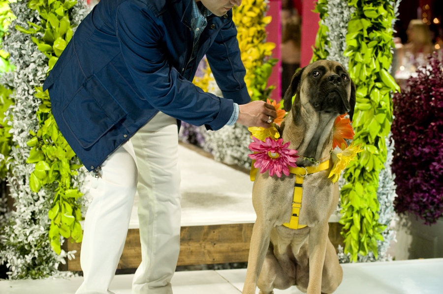 FASHION FOR PAWS 2012 (BLOG)