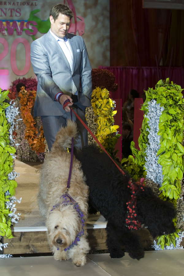 FASHION FOR PAWS 2012 (BLOG)
