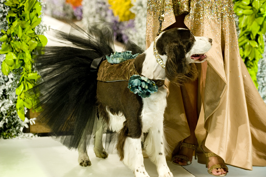 FASHION FOR PAWS 2012 (BLOG)