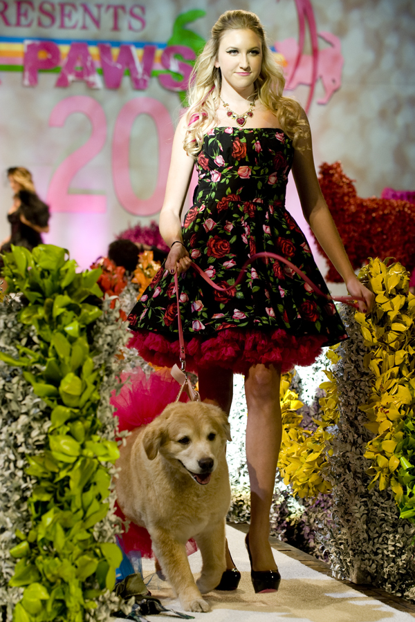 FASHION FOR PAWS 2012 (BLOG)