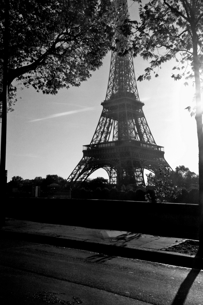 PARIS FASHION WEEK